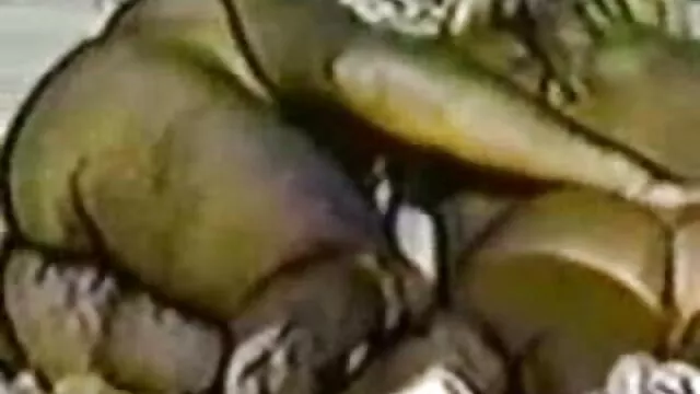 Geriausias Porno :  Didelis juodas penis puikiai tiks šiai siautulingai raudonplaukei. Karštas porno filmai 