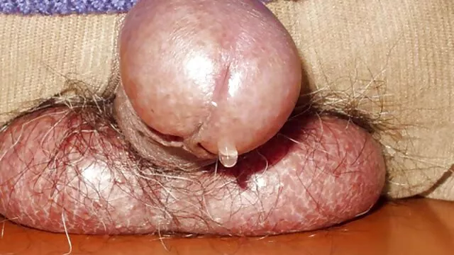 Geriausias Porno :  Laižydamas jos pūlingą, vaikinas sugebėjo ją labai ištvirkinti Karštas porno filmai 